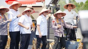 Polri Hasilkan 751 Ribu Ton Jagung pada Panen Raya Kuartal III